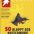 A capa da Stern_.jpg